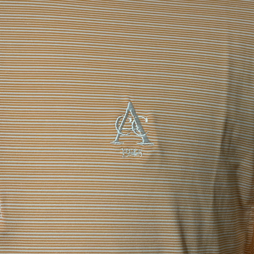 Straight Down Dundee Stripe Polo (w/logo) - Citrus - Medium - Skorzie